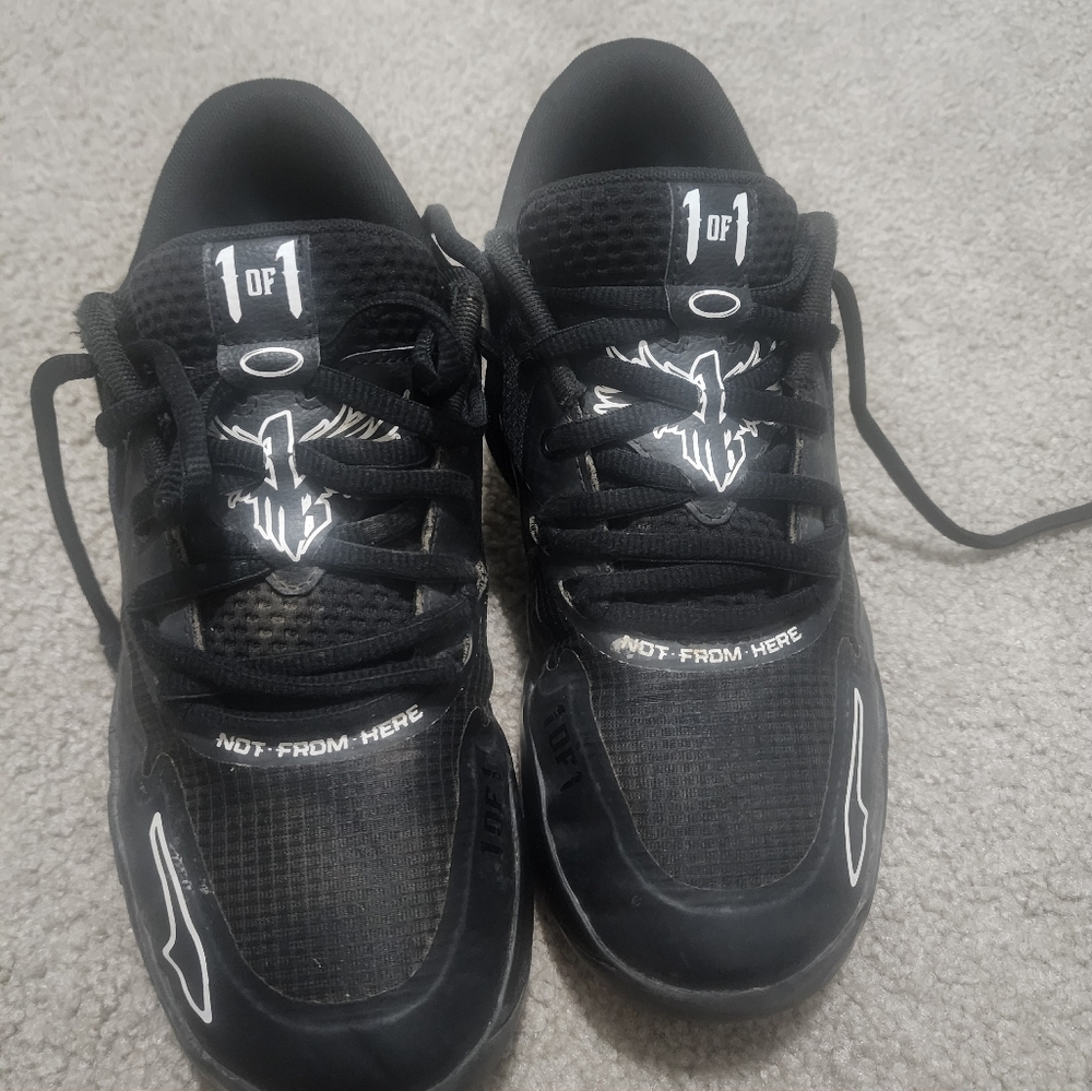 Melos puma